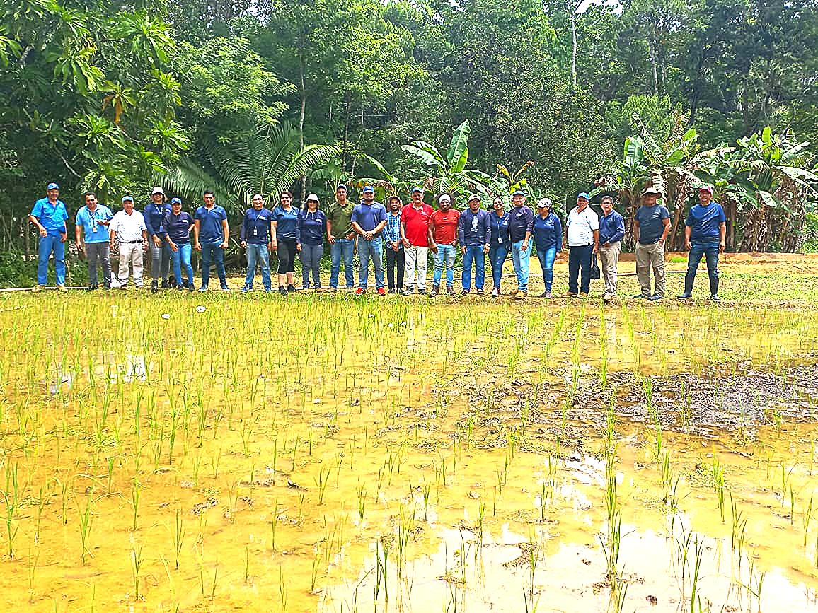 grupo de rizipiscicultura