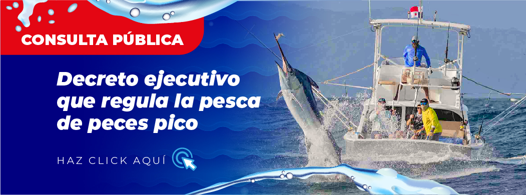 BANNERS-Consulta Pública_Peces pico