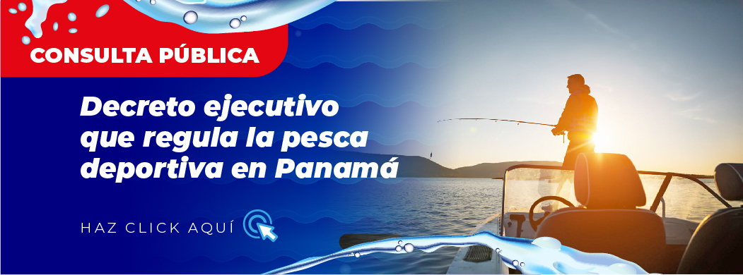 BANNERS-Consulta Pública_Pesca Deportiva