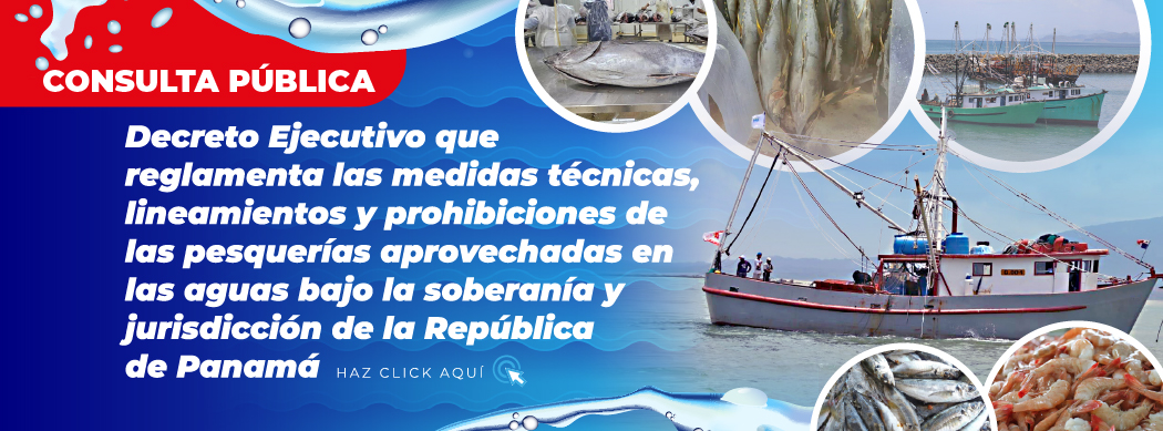 BANNERS-Medidas técnicas y lineamientos (Web Modificado)