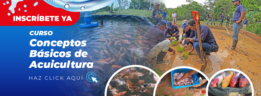 Banner WEB – Curso de Acuicultura