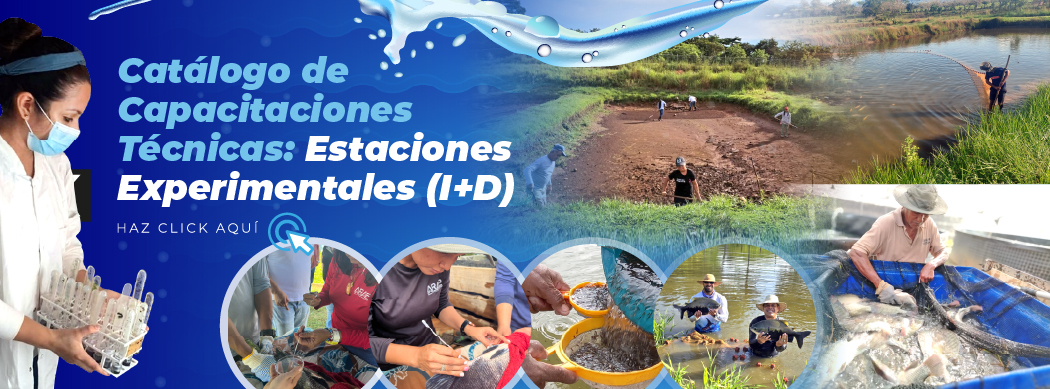 Banner – ESTACIONES EXP (I+D)
