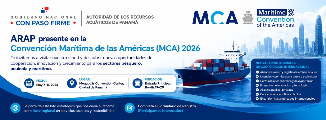 Slide – MCA 2026-convertido-a-1050×389